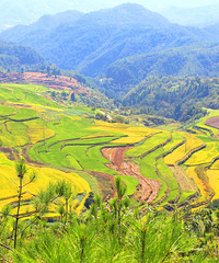 �ɾ����ɽ�������ǹ��͵Ĵ��ʱ��