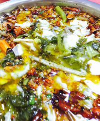 �����ɶ����ɶ~�Ӵ˾�ϲ���ϳ������~