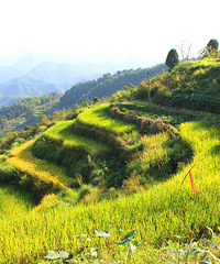 �ɾ����ɽ�������ǹ��͵Ĵ��ʱ��