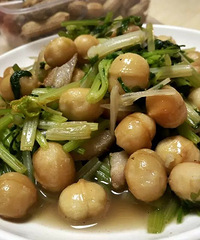 ��������գ������޲�����!