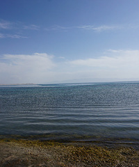 ������ǰ��Ը���ຣ�������