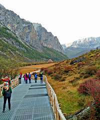 ������ɫ������Ƕ����ƹ���һ·��ɫ