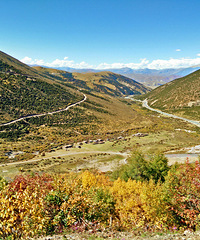 ������ɫ������Ƕ����ƹ���һ·��ɫ