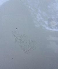 mini������ֹ����ǲ���ԭ���������