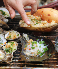 ����ϵ���;��������,������ɳ��