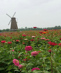 �������ռǡ�+�������ͻ�    �ðɣ�ԭ����