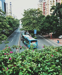 �����ѵ�ˮ�߹��ݡ�