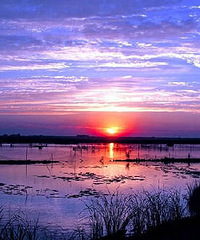 [�Ƽ�]���ʺ�10�µ�С�����е�