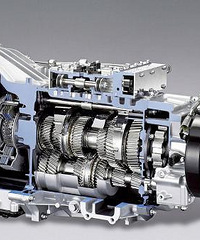 ������ô�� ��֪���������㲿���������ж೤