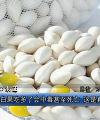"白果吃多了会中毒甚至死亡 这是真的吗?"