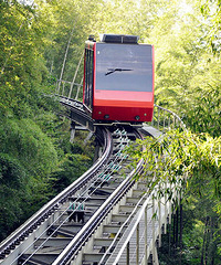 ����Ů����Ϊ�Լ�����