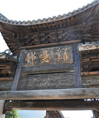 ����Ů����Ϊ�Լ�����