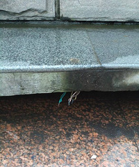 ��԰��¶�ĵ��ߴ�����