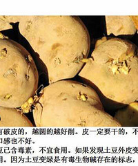 [����]9��������˵ķ���