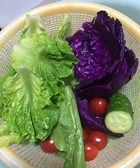 ���ƿ���ɳ���������ܼ�