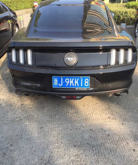 �ô�һƥ����ѪͳҰ��