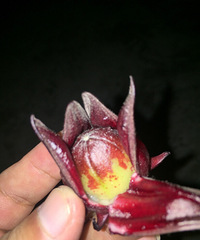 ˭��������ʲô