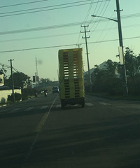 ���� �����ٸ�һ��ô