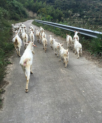 ������·��