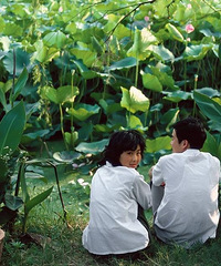 ��ʮ�������Ƭ