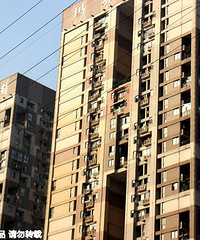 ���߼мз�  ���죡