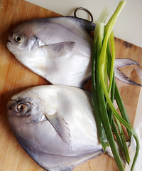 ��һ�԰׸���