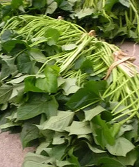 ��������������������