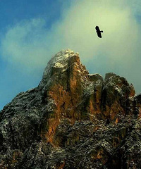 [�Ƽ�]1%���˲�֪���Ĵ�����Ů��