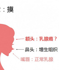 ͼ�Ľ�������Լ�