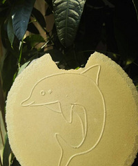 ��Щ��Թ���С��