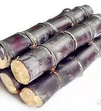 ���Ᾱ�ǲ�Ѫ֮����