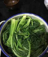 �����̲˺������ˣ���ʱ�仹���ڼҵ��ıȽϺ�