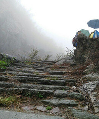 ���������ǰ��