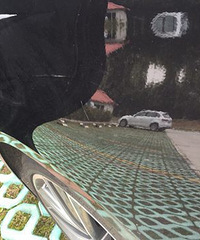 ͣ�ó������Ų�������� �ĵĶ���ӡ��