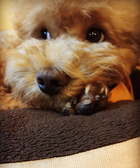 [Ѱ����ʾ]���񵽵ĺ������ͻ� ���5000Ԫ