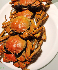 �´�����ɳ��������Ʒͦ�࣬ÿ������������ؼ