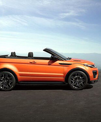 ½���������ˡ�