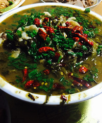 ����㳴���óԡ��������Ź�