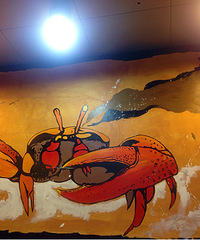 ��ëз�ң�ţ��������