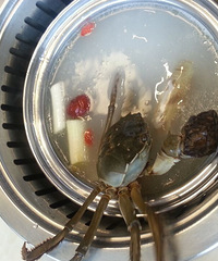 �������ĸо���ˬ