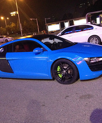 ż������ɫ��R8