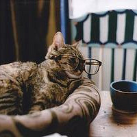 �ֶ�������ʻ���� ��ɲ���Ƿ���������