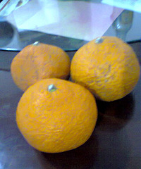 ȥ��������ӻ��ܳ�