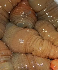 �˴�̨�ݺڰ���ʳ����Թ�����