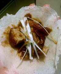 ������Ϳ�Ѽ����Ŷ