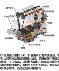 ���û������˳� ���͸���ôѡ