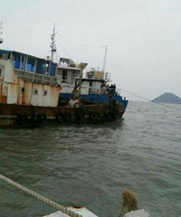 ���ı��ֳ�������