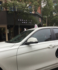 ������ϵҲ�����ȵ�