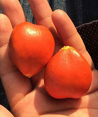 ��ôƯ����ɶ���ӣ�