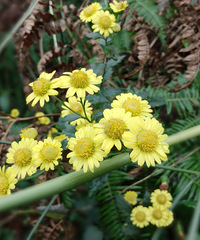 ż�����¾�